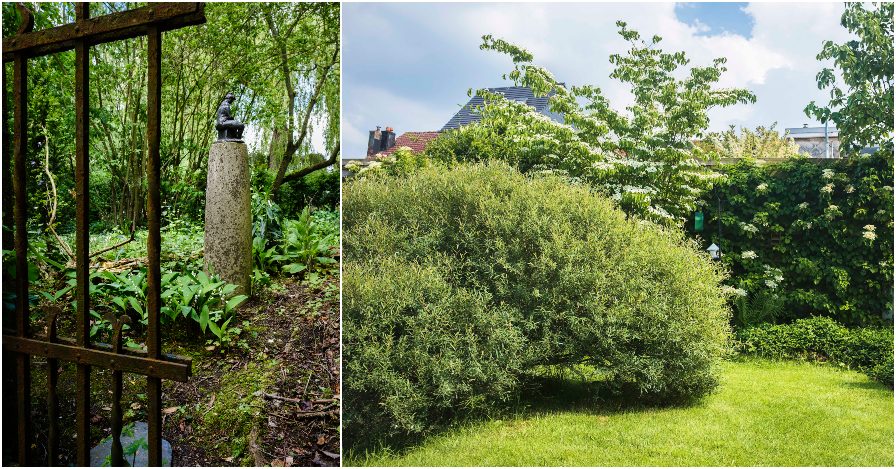 Beplanting onder bomen en struiken