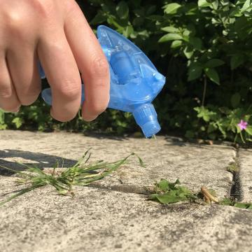 Azijn op 'onkruid' spuiten is niet zo'n goed plan.