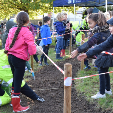 kinderen bloembollen